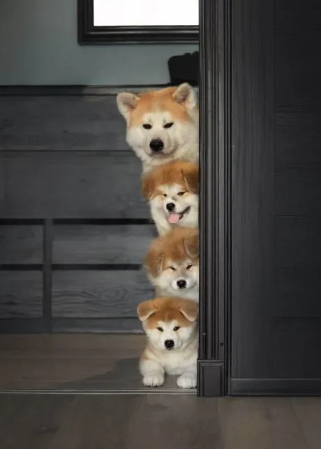 暑いね～(-∀-)/★あん奥様