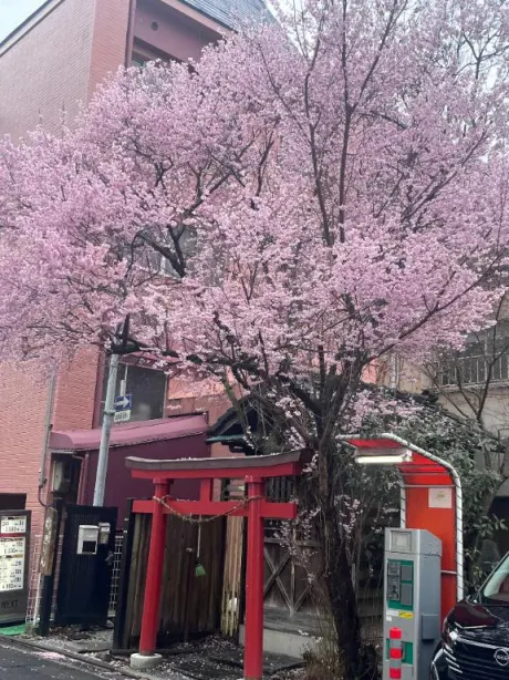 ありす宮城♂風俗の神様　仙台店