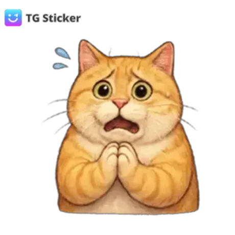 こんばんわ/つばき【青森】