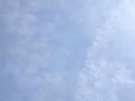 出勤しました