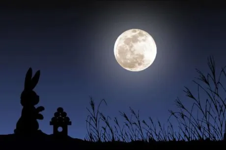 今夜は中秋の名月(^-^)