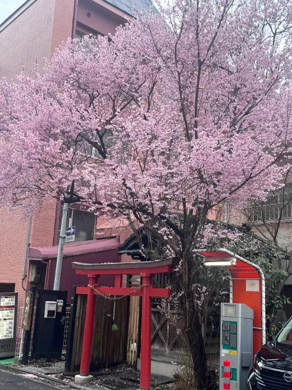 ありす宮城♂風俗の神様　仙台店