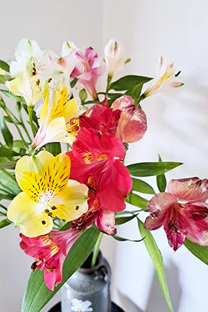 あや奥様Deparate