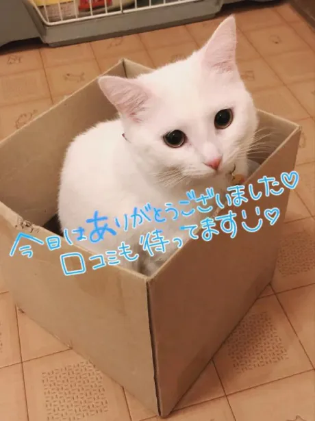 ももな即プレイ専門店　性の極み