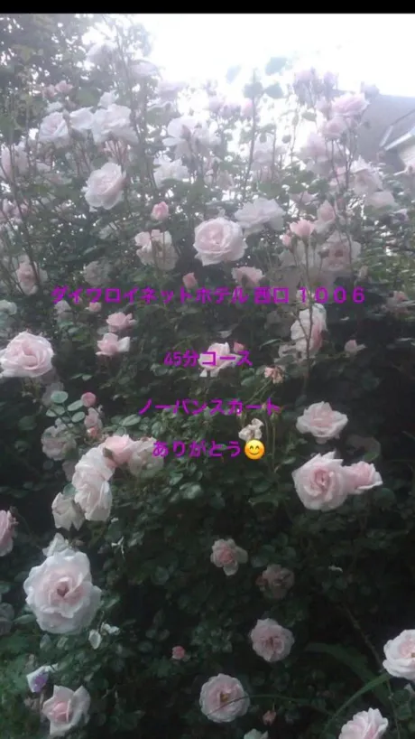 お礼🕊💌(28日)