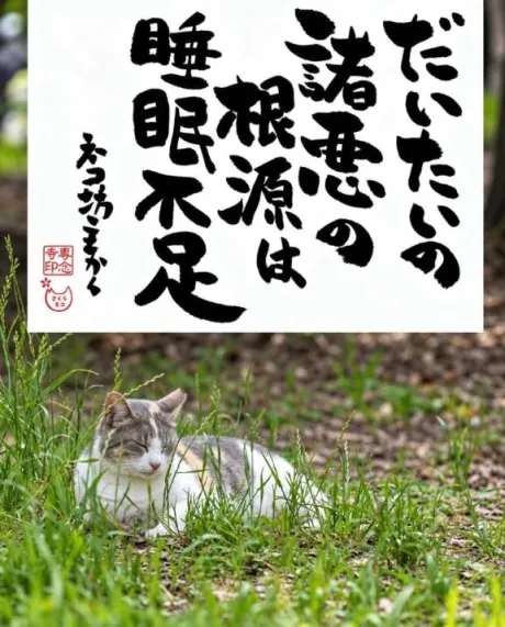 おはようございます♡/シオン
