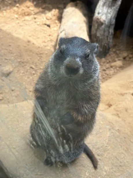 【お礼写メ日記】/アキエ