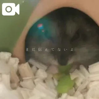 みなこ　奥様SUTEKIな奥様は好きですか？