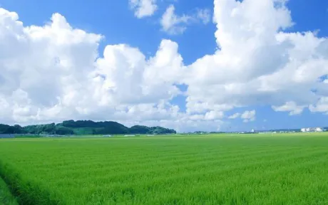 木曜日、出勤いたします。。。/ことみ