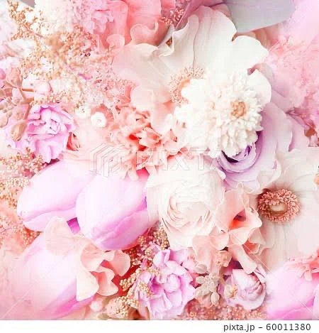 Y様💖/新人・叶羽(とわ)