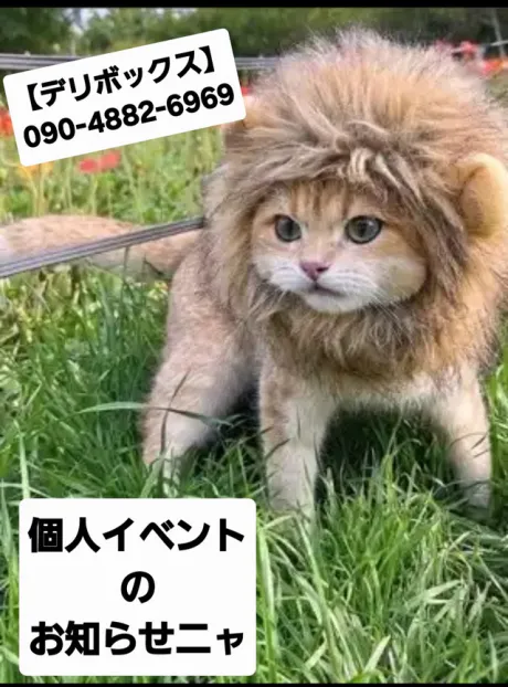 めい (魅惑のEカップ、パイパン嬢)デリボックス