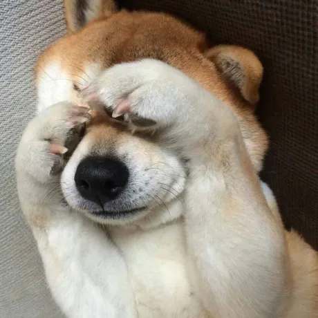 おはよう ( * ・ω・) ノ