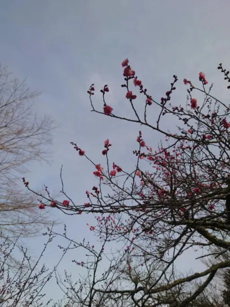 つきよ【完全業界未経験】おばさんの店