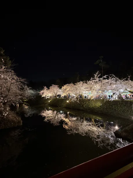 こんばんわ🌸/アイカ《青森》復活