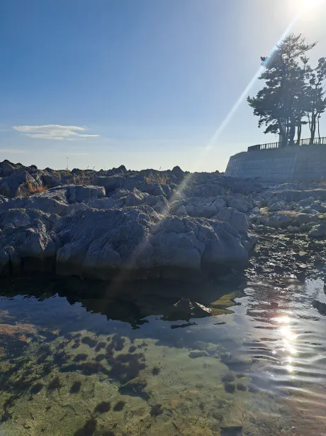 今、お店にいます！/ちひろ（気仙沼）〔即プレイＯＫ〕