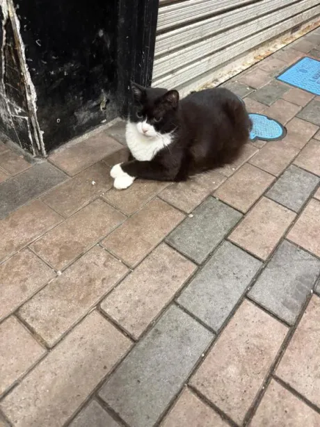 お礼💌