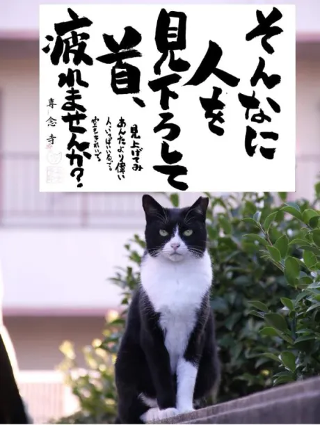 シオン人妻生レンタルーNTRー