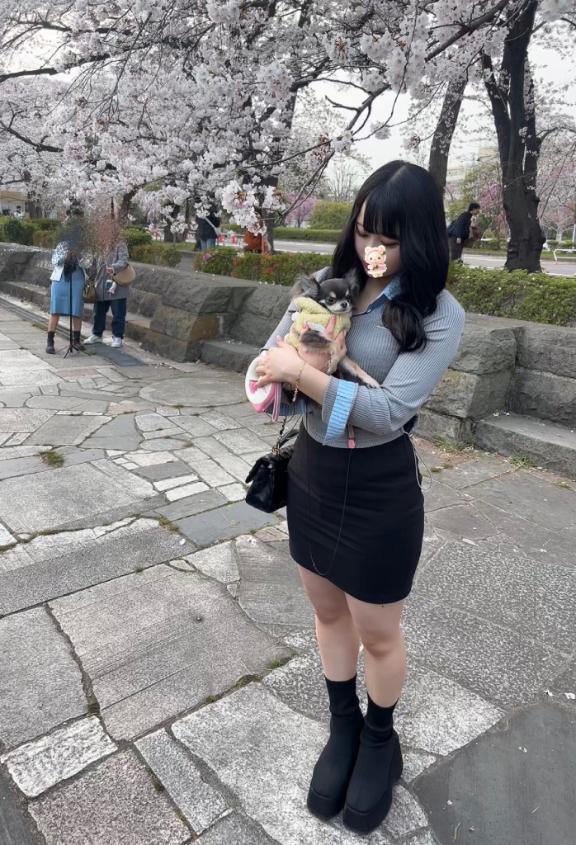 はじまればおわる