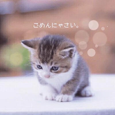 ちかげのブログ お休みします...