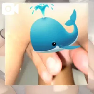 🐳/こなつ