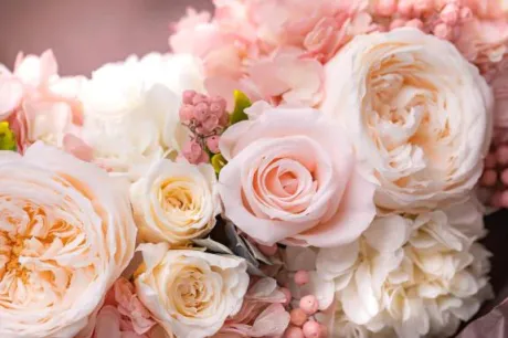 お礼💐/新人・由羽(ゆう)