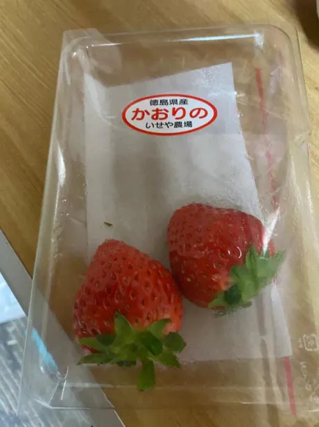 桜木即プレイ専門店変態人妻サークル秋田店