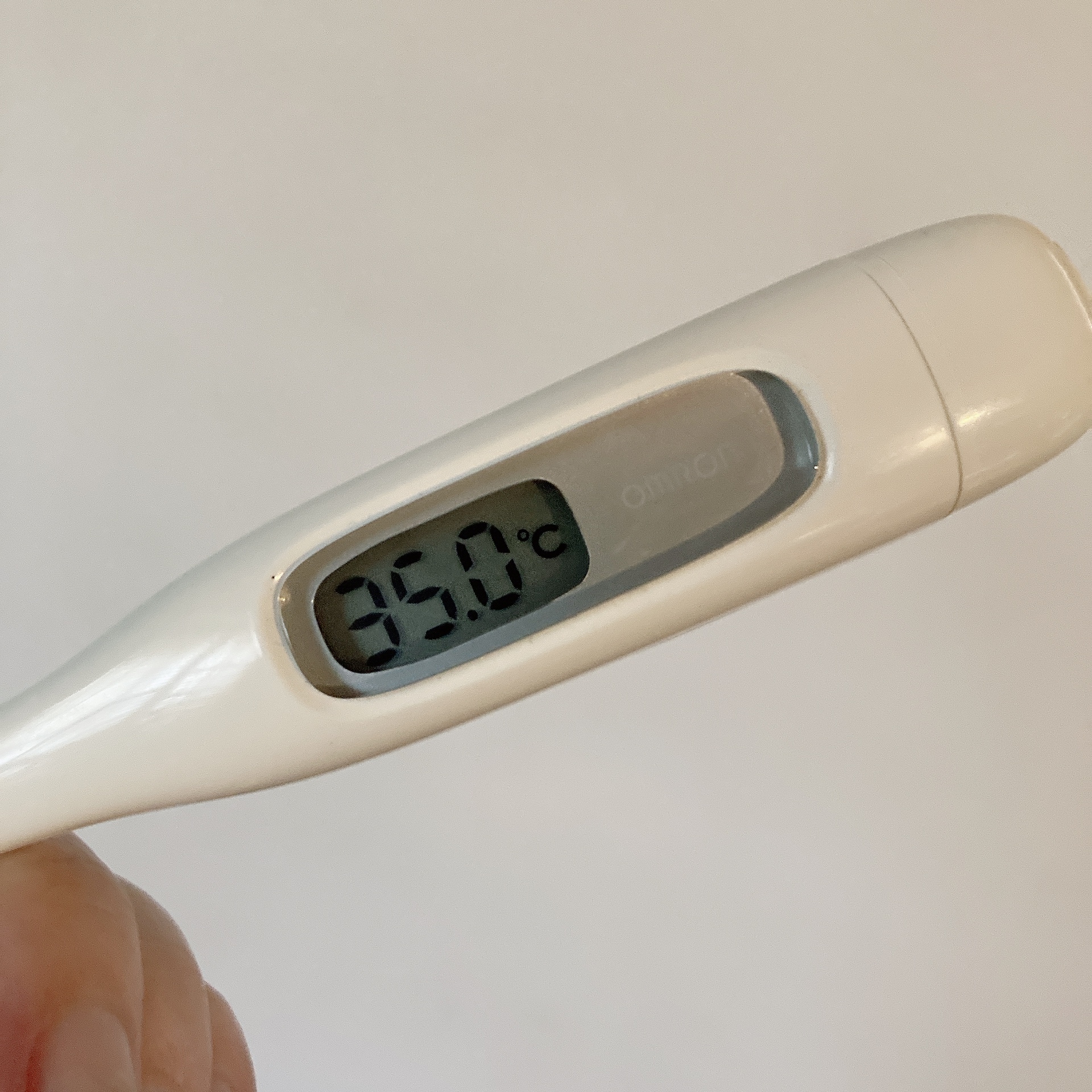 おはようございますっ