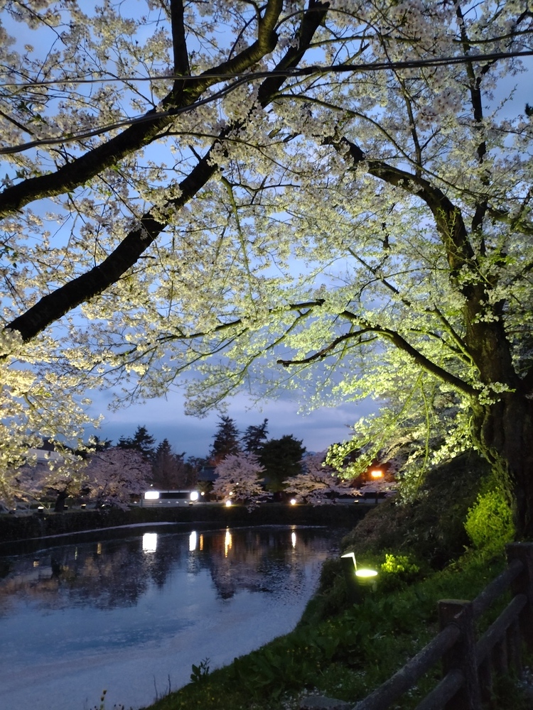 ❣️ 夕暮れ🌸❣️/ちなつ