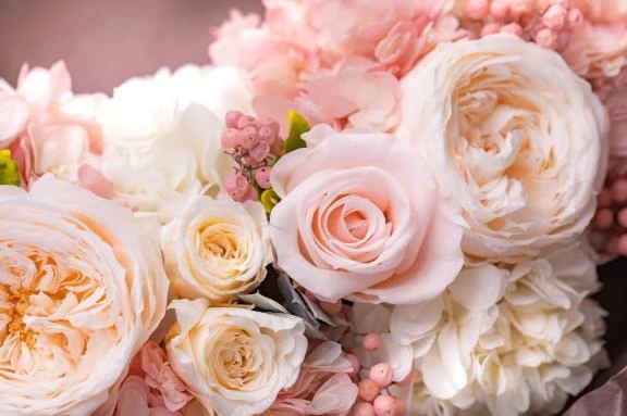 新人・由羽(ゆう)グランドオペラ福岡