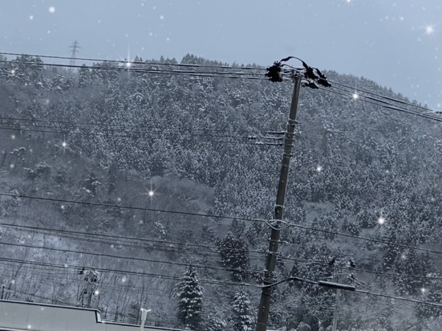 ももこです(^з^)本日3日出勤