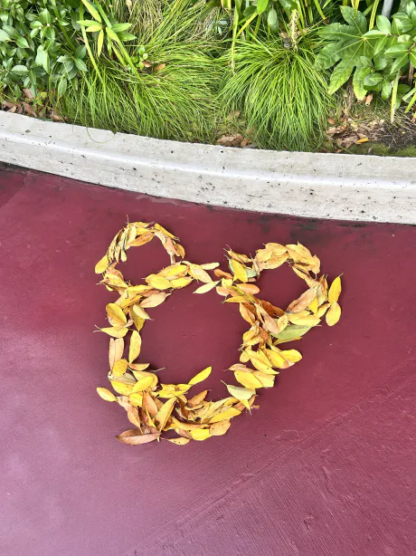 こんばんわ🌙/ゆいな【青森弘前五所】