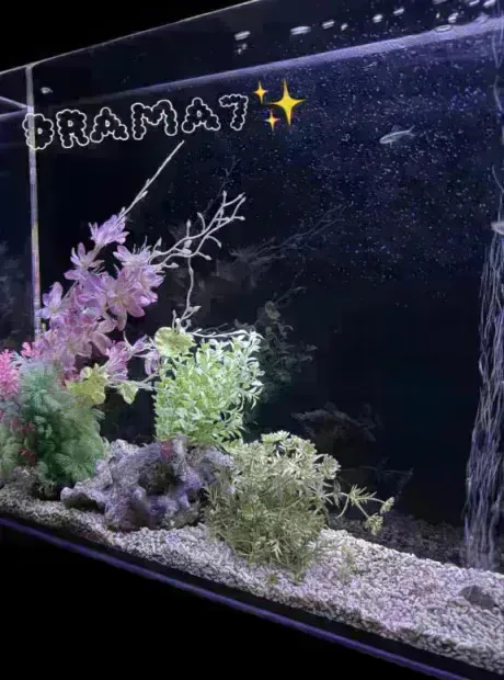 DRAMA7⃣/らな