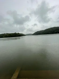 みか 奥様のブログ ぬっ沼！