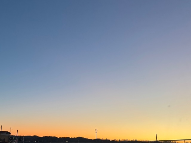 ももこです(^з^)早くも金曜日