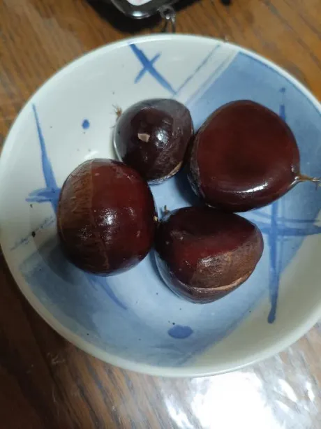 秋の味覚……🌰