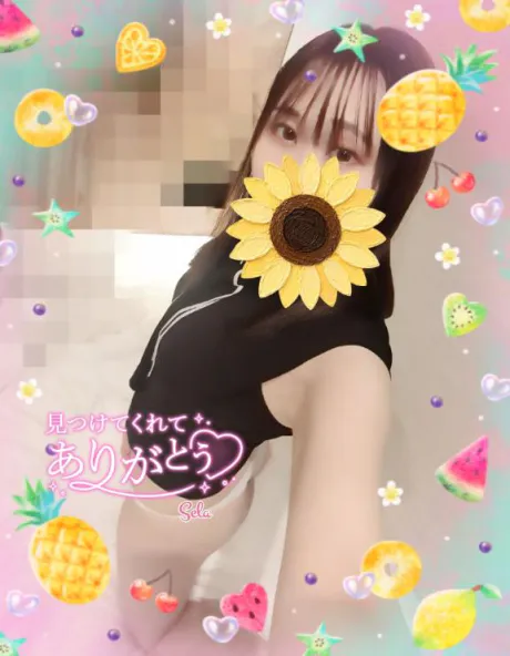 夏の 、、、、/新人せら