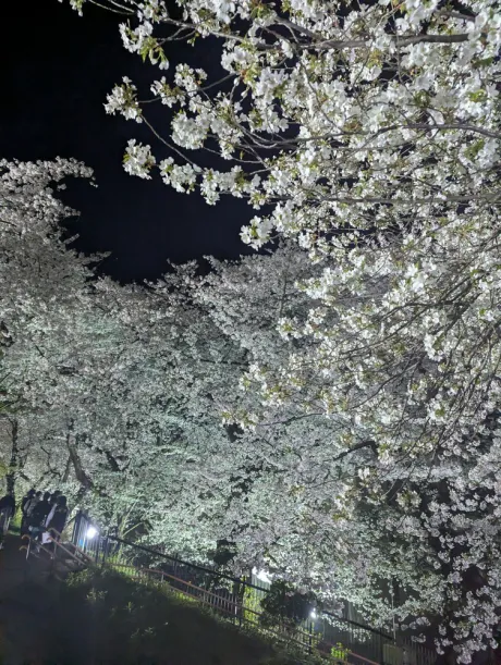 お休みを頂きました 🙏💦/さえ