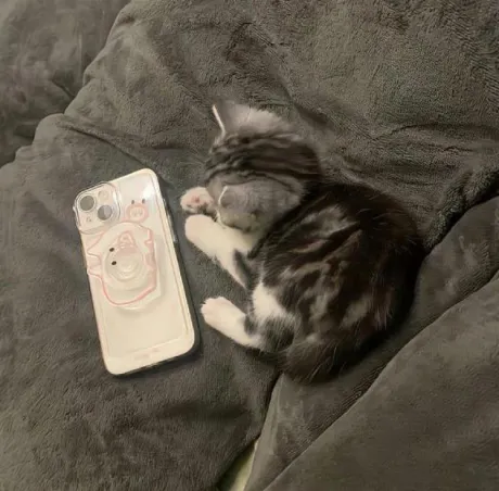 あのロイヤルクラブ