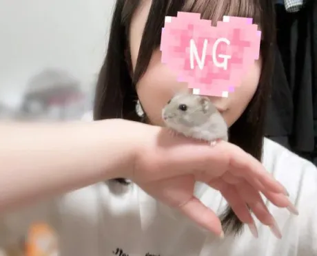 🐹🐹🐹/エム