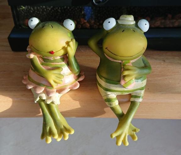 おはようございます(*´ `*)