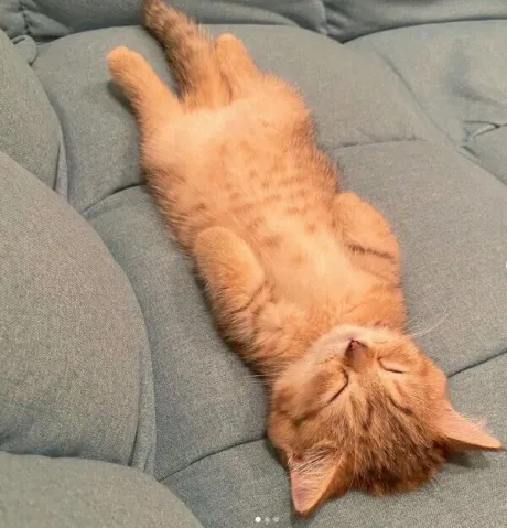 こんばんわ☆彡/しの