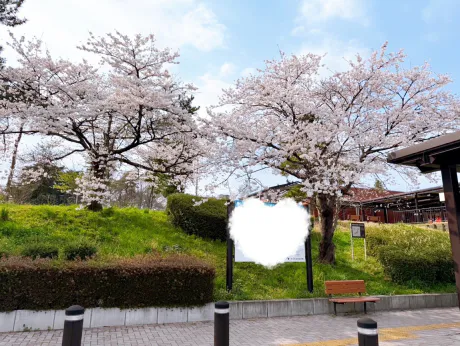 よかばってん/ことみ【弘前黒石】