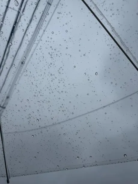 ☔️