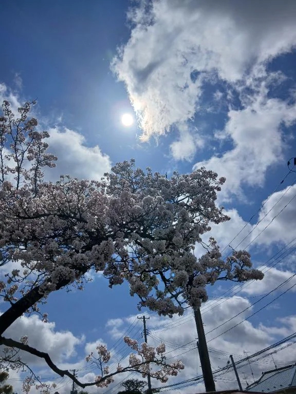 本日出勤です🥰