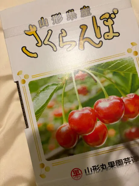 みみのブログ ♡