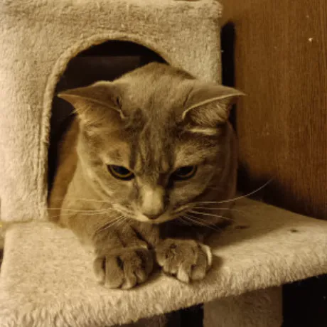 ゆうな 奥様仙台人妻セレブリティー