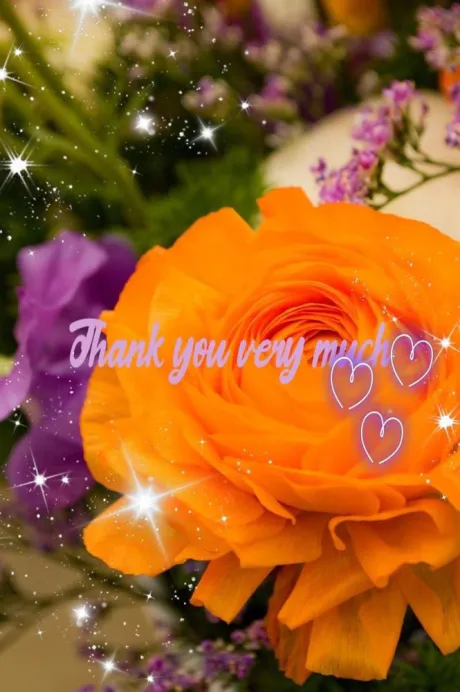 お礼💌/☆ひとみ奥様