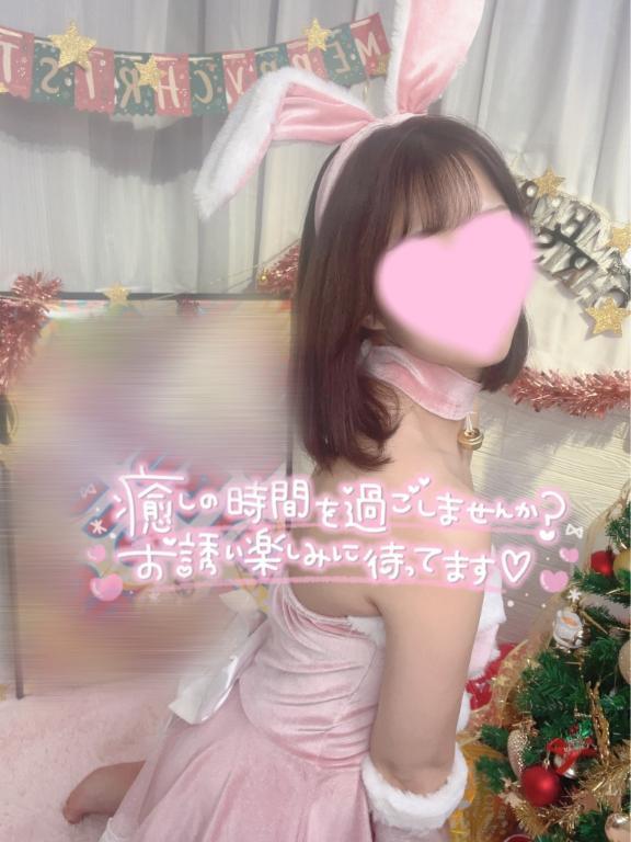 今日から６日間🌼