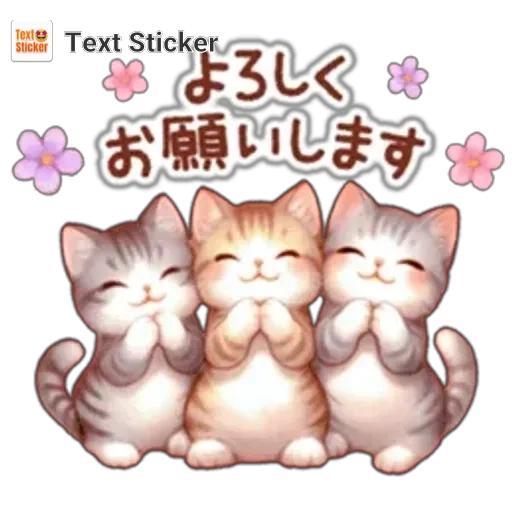 七夕✨