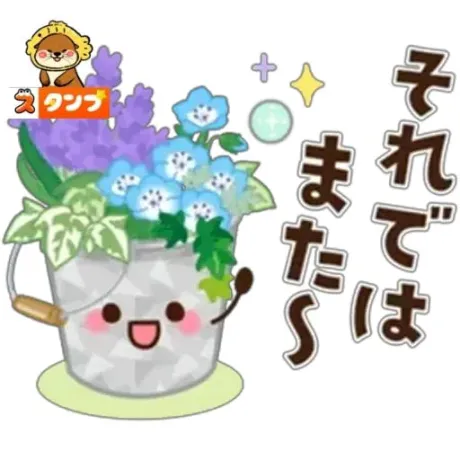 新人みさきマダム DOLCE
